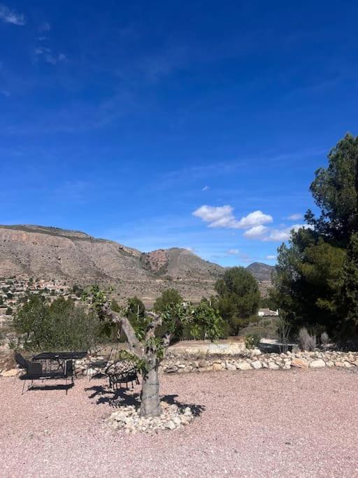 Casa Dusena Estrella Daire Hondón de las Nieves Dış mekan fotoğraf